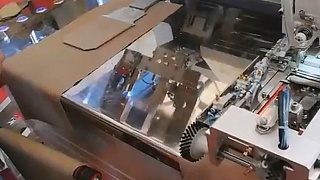 Швейный автомат для настрачивания накладных карманов с клапаном RM-310PWF